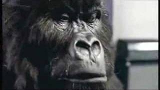 Play http://www.youtube.com/watch?v=TnzFRV1LwIo