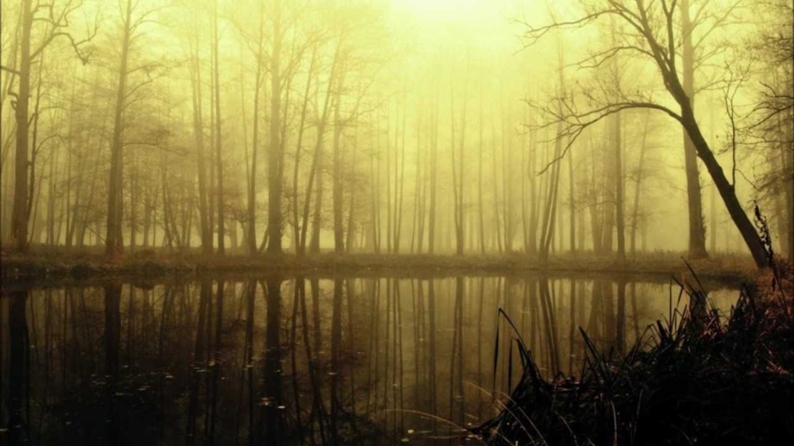 Play Sprout and the Bean