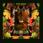 Album artwork for Dry Land Is Not A Myth by White Arrows