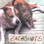 Album artwork for Zachshots [Explicit] by Zachshots