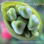 Album artwork for Original Album Classics by Fiona Apple