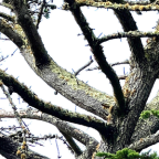 Album artwork for Taking Your Place - Single by Fat, Evil Children