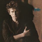 Album artwork for Building the Perfect Beast by Don Henley