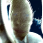 Album artwork for William by Doggone