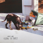 Album artwork for Feeding the Family by Spacey Jane