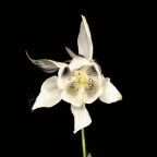 Album artwork for Happiness (Anniversary Edition) by Fridge