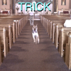 Album artwork for TRICK by Alex G