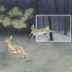 Album artwork for Blinded by Fame by Dutch Interior