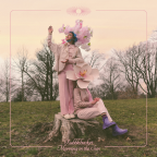 Album artwork for Morning in the Sun - Single by Rubblebucket