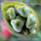Album artwork for Extraordinary Machine by Fiona Apple