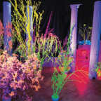 Album artwork for Warehouse: Songs and Stories by Hüsker Dü