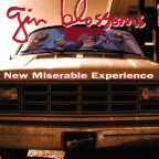 Album artwork for New Miserable Experience by Gin Blossoms