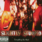 Album artwork for Everything You Need by Slightly Stoopid