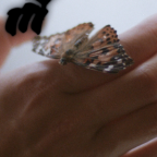 Album artwork for Montalvo by Colle