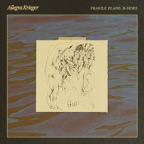 Album artwork for Fragile Plane: B-Sides by Allegra Krieger