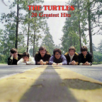 Album artwork for 20 Greatest Hits by The Turtles