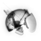 Album artwork for Lick the Lens, Pt. 1 by Oli XL & Ecco2k