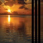 Album artwork for Do Roids And Kill E'rything by Hype Williams