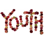 Album artwork for Youth by Citizen