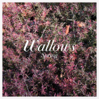 Album artwork for Spring - EP by Wallows