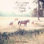 Album artwork for Sometimes I Wish We Were an Eagle by Bill Callahan