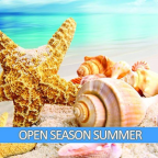 Album artwork for Open Summer Season (50 Summer Hits) by Dale Hawkins