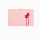 Album artwork for Rayon Hula by Mike Cooper