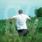 Album artwork for Am by Ovlov