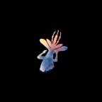 Album artwork for Montana by Slow Pulp