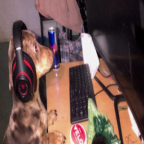 Album artwork for idk idk by Jim Legxacy