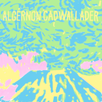 Album artwork for Trying Not to Have a Thought [Explicit] by Algernon Cadwallader
