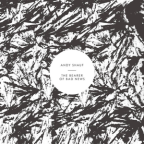Album artwork for The Bearer of Bad News by Andy Shauf