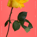 Album artwork for Rectangles and Circumstance by Caroline Shaw & Sō Percussion