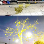 Album artwork for Fooled - Single by Fat, Evil Children