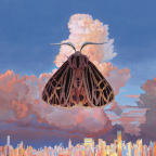 Album artwork for Moth by Chairlift
