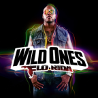 Album artwork for Wild Ones by Flo Rida