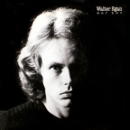 Album artwork for Not Shy by Walter Egan