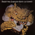 Album artwork for Barbed Wire Sandwich by Black Cat Bones