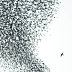 Album artwork for Sky Blue Sky by Wilco