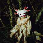 Album artwork for Bull Believer by Wednesday