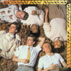 Album artwork for Pelican West by Haircut 100