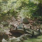 Album artwork for Open My Door - Single by Alice Phoebe Lou