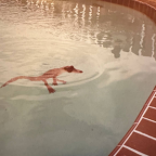 Album artwork for Nellene by DeLoyd Elze