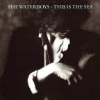 Album artwork for This Is The Sea by The Waterboys