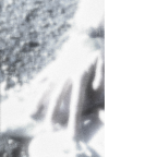 Album artwork for 41 by Smush