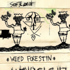 Album artwork for Weed Forestin' by Sentridoh