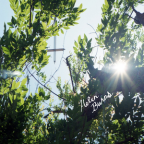 Album artwork for Helen Burns by Flea