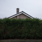 Album artwork for Still... At Their Very Best (Live From The AO Arena, Manchester, 17.02.24) [Explicit] by The 1975