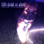 Album artwork for 500 dead or alive by shep treasure