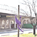 Album artwork for The Fields by Nourished by Time